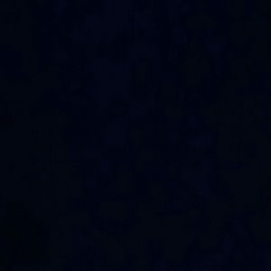 Meet your Posher, Ken