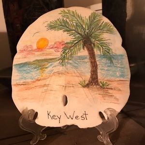 Extra Large Sand Dollar w/plastic stand
