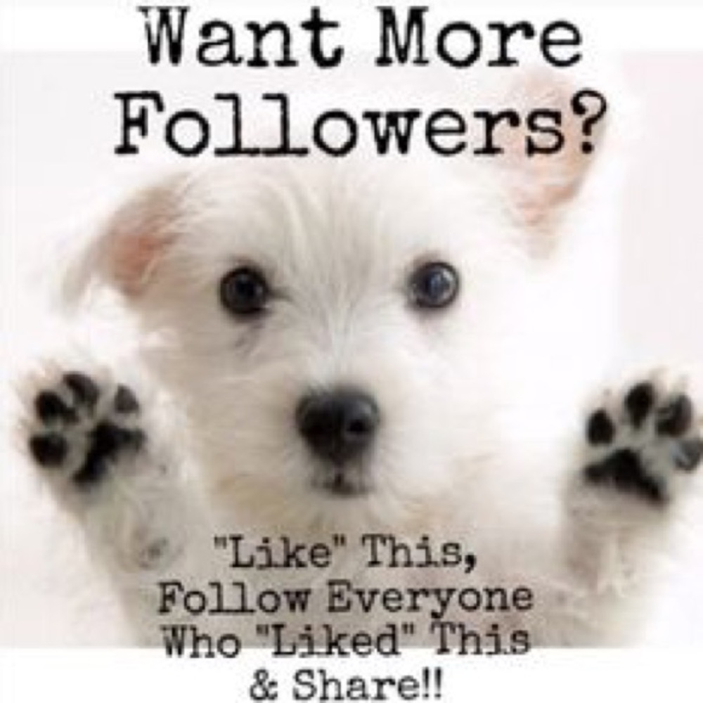 FULL - See Follow Game #2
