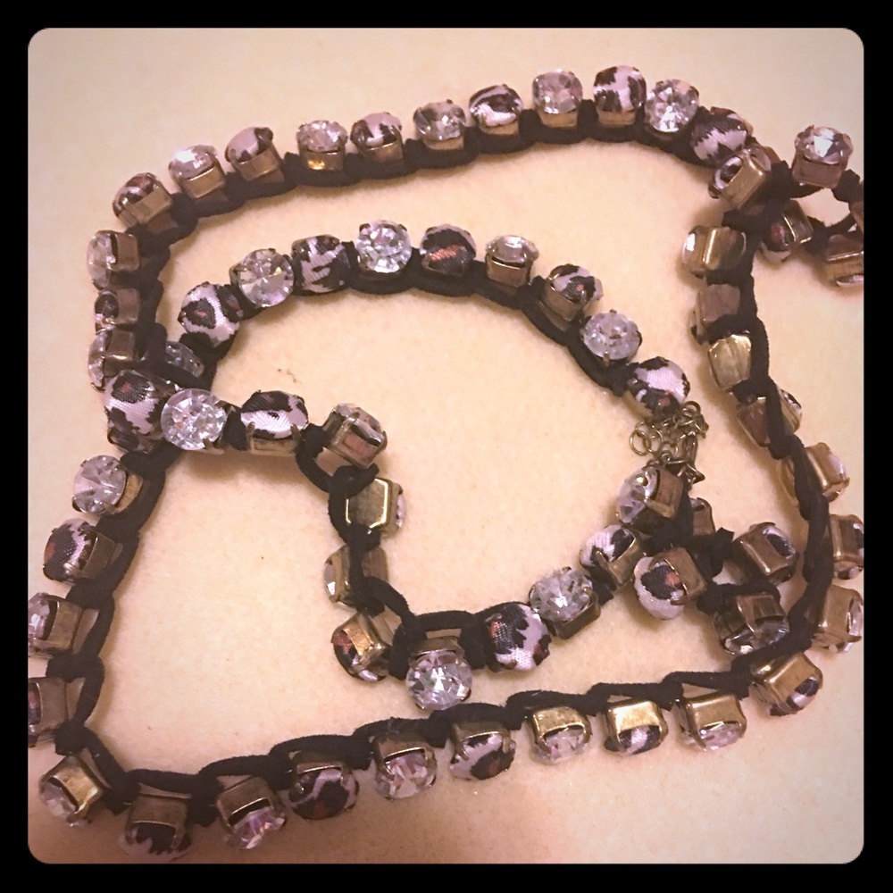 Cheetah chain