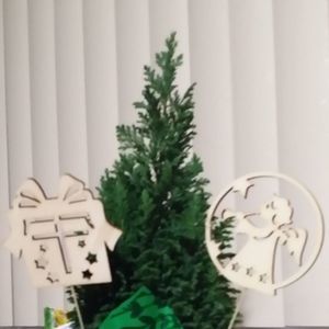 Meet your Posher, Zara