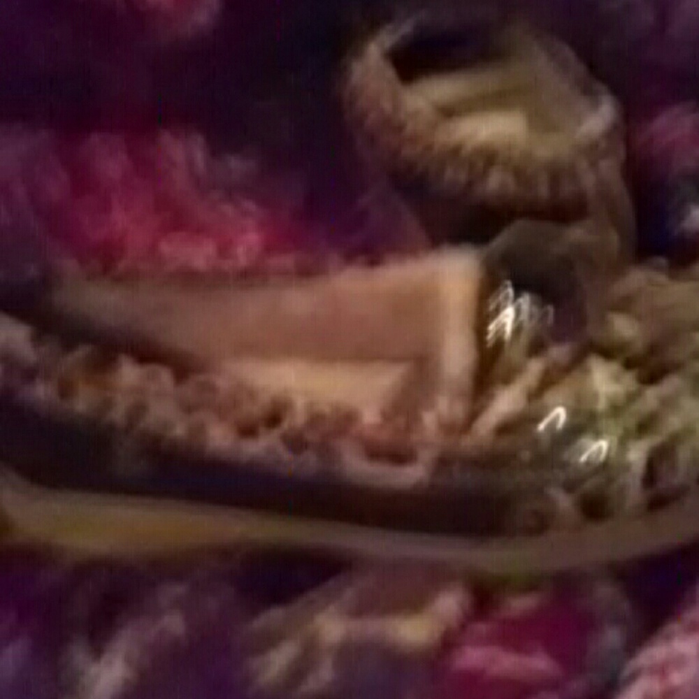 Sperry top sider moccasin like for winter