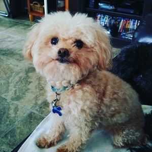 Meet your Posher, Melissa