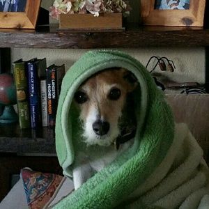 Meet your Posher, Linda