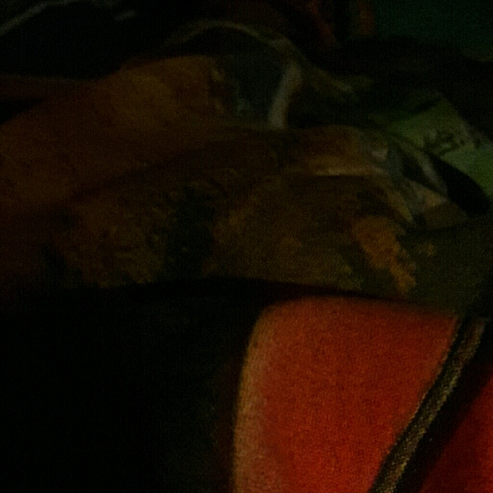 Meet your Posher, Alvinia