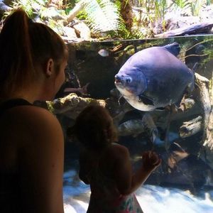 Meet your Posher, Dan kasey avery