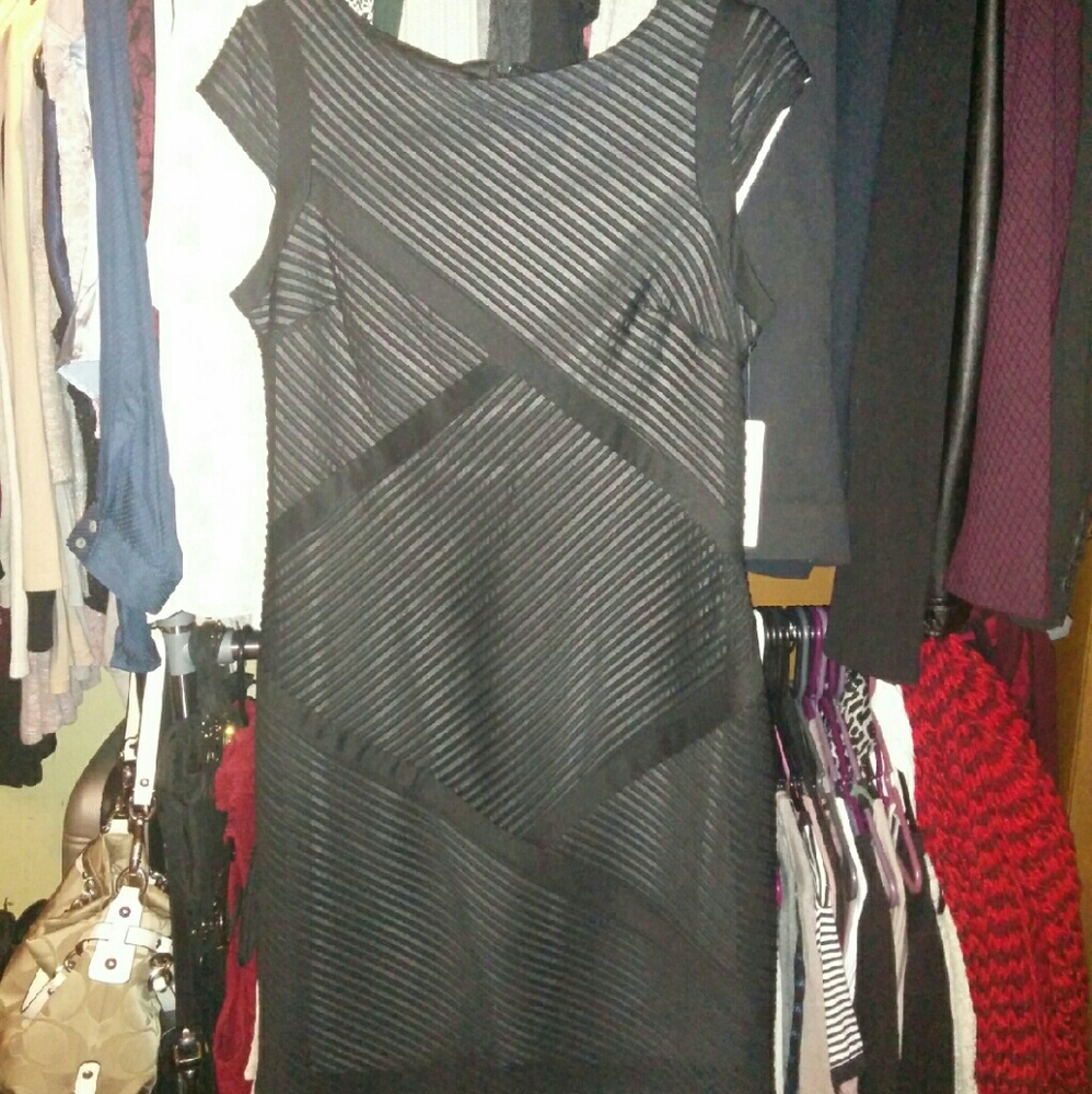 NWT Sandra Darren Dress