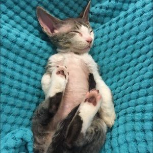 Meet your Posher, Melanie