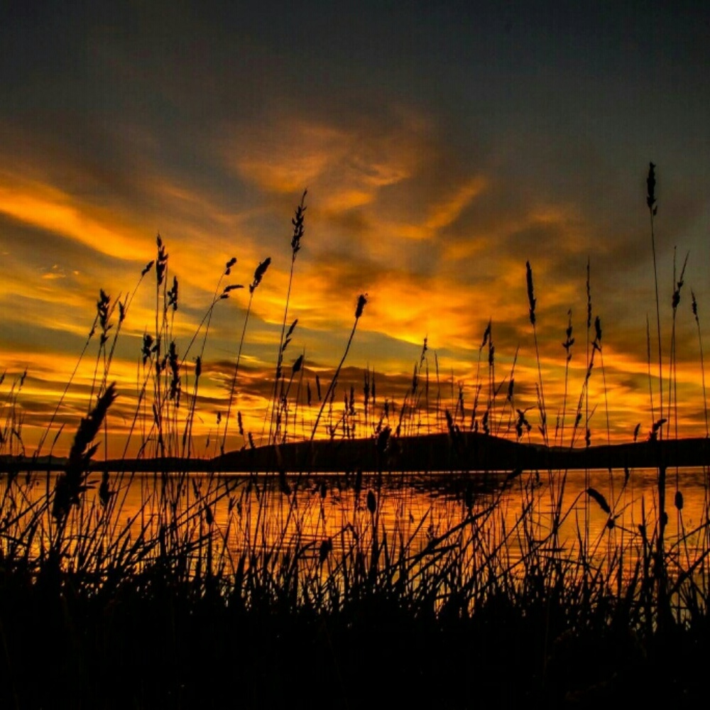 Meet your Posher, KWB575058