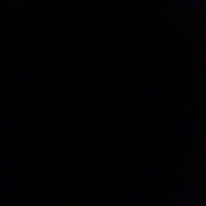 Meet your Posher, Adriana