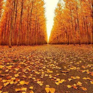 Meet your Posher, Cathy