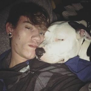 Meet your Posher, Chandler