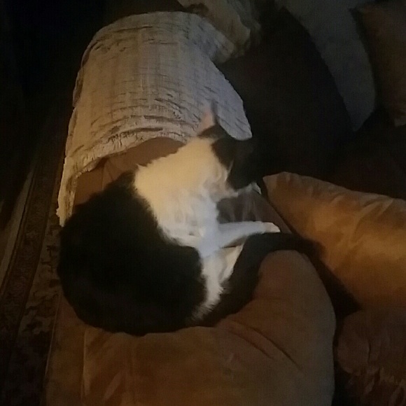 Meet your Posher, Erica - Picture 1 of 1