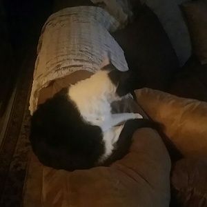 Meet your Posher, Erica