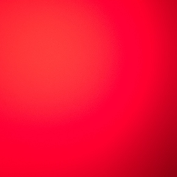 Meet your Posher, Wilber - Picture 1 of 1