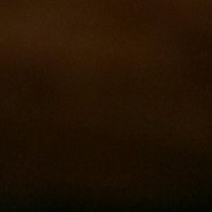 Meet your Posher, Dorothy