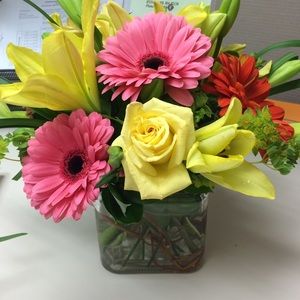 Meet your Posher, Holly