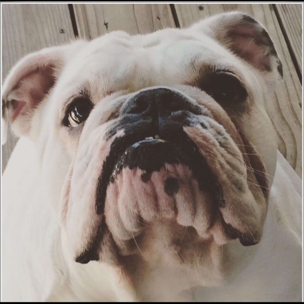 Meet your Posher, Angela