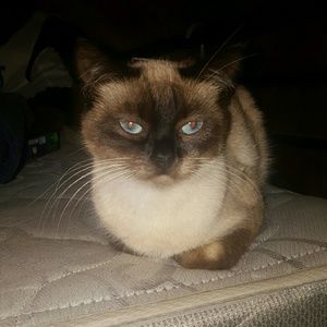 Meet your Posher, Tammy