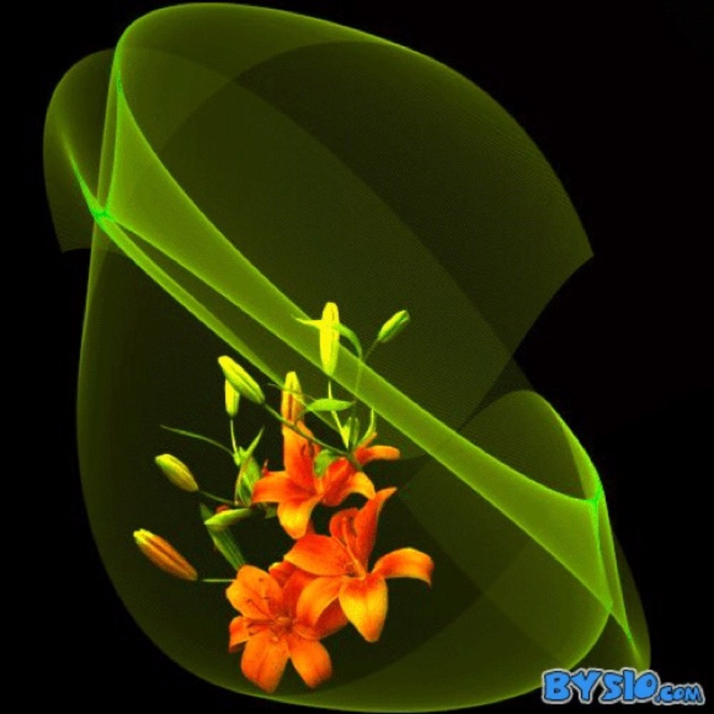 Meet your Posher, Bo