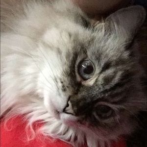 Meet your Posher, Melssa