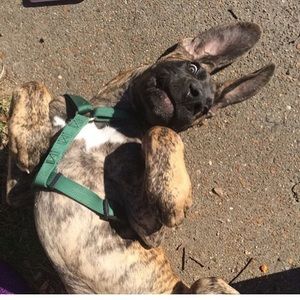 Meet your Posher, Sara