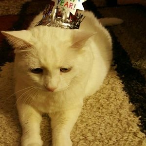 Meet your Posher, Galina