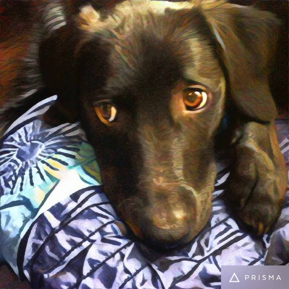 Meet your Posher, Ashley