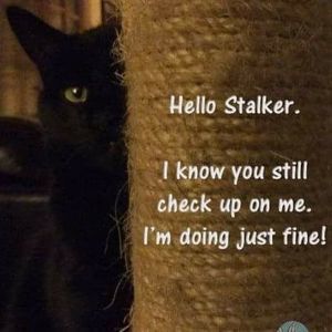 Meet your Posher, Deborah