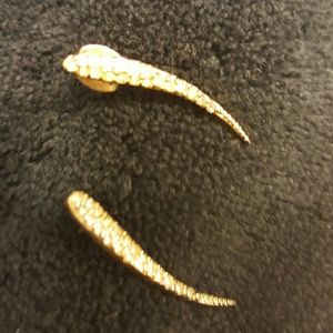 Club Monaco earrings