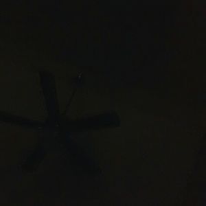 Meet your Posher, Lena