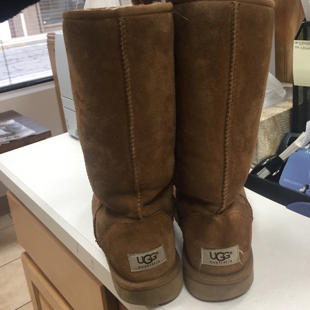 Tall chestnut uggs
