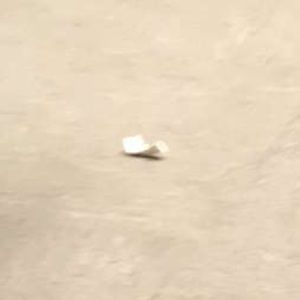 Meet your Posher, Jake