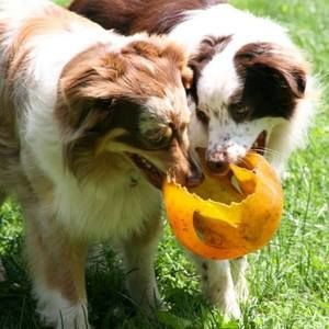 Meet your Posher, Lawanna