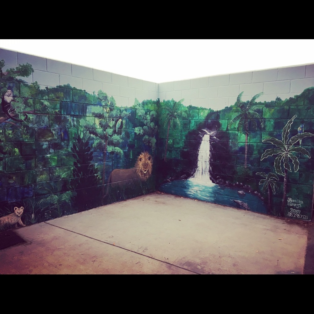 Meet your Posher, Victoria