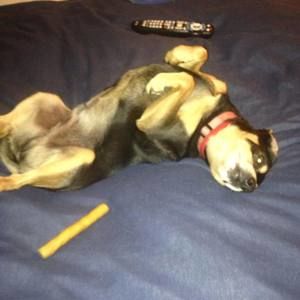 Meet your Posher, Todd