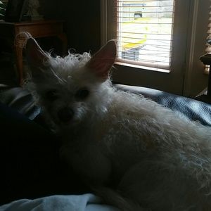 Meet your Posher, Makana