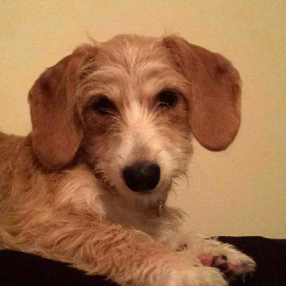 Meet your Posher, Jillian