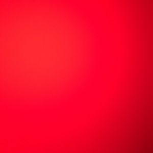 Meet your Posher, Reagan