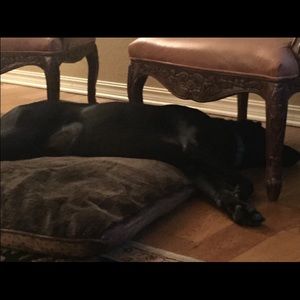 Meet your Posher, Mandy