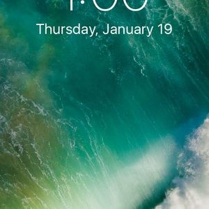 Meet your Posher, Riley