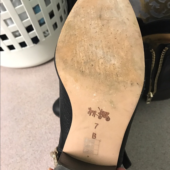 Coach - Picture 3 of 4