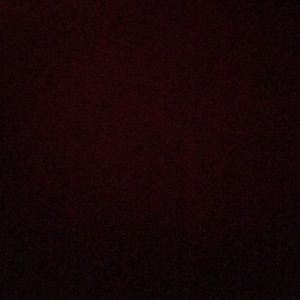 Meet your Posher, Starr