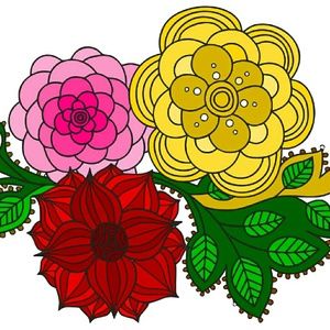 Meet your Posher, Elena