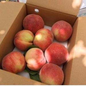 Meet your Posher, Dani