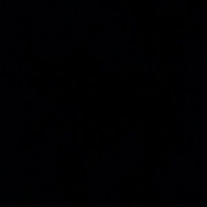 Meet your Posher, Frank