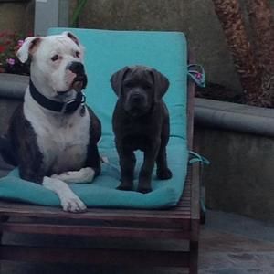 Meet your Posher, Cari