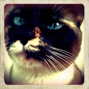 Meet your Posher, Christine