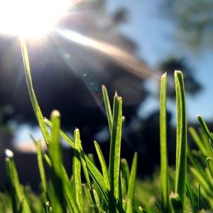 Meet your Posher, Gina