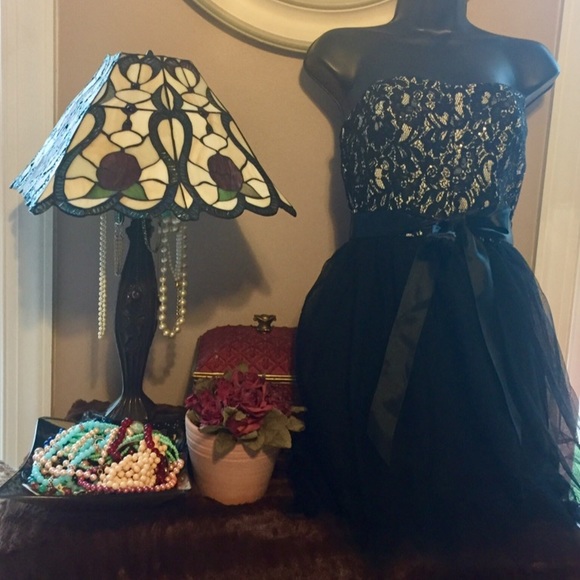 💕HP💕 NWT Wet Seal Lace & Tulle Dress - Picture 4 of 4